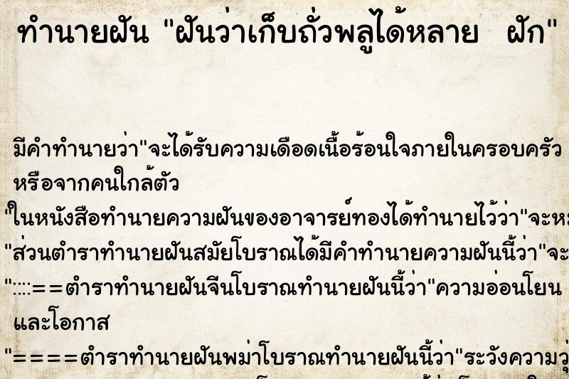 ทำนายฝันทำนายฝันฝันว่าเก็บถั่วพลูได้หลายฝัก